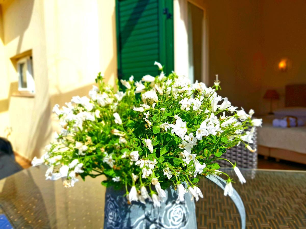 Medulic Palace Rooms & Apartments شيبينيك المظهر الخارجي الصورة